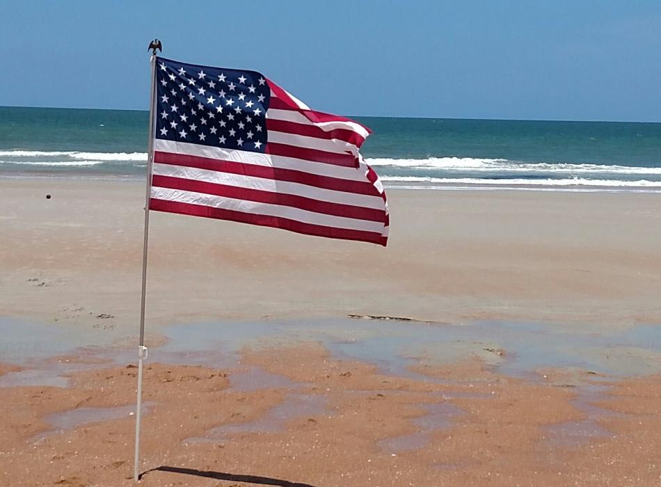 Flag on the beach