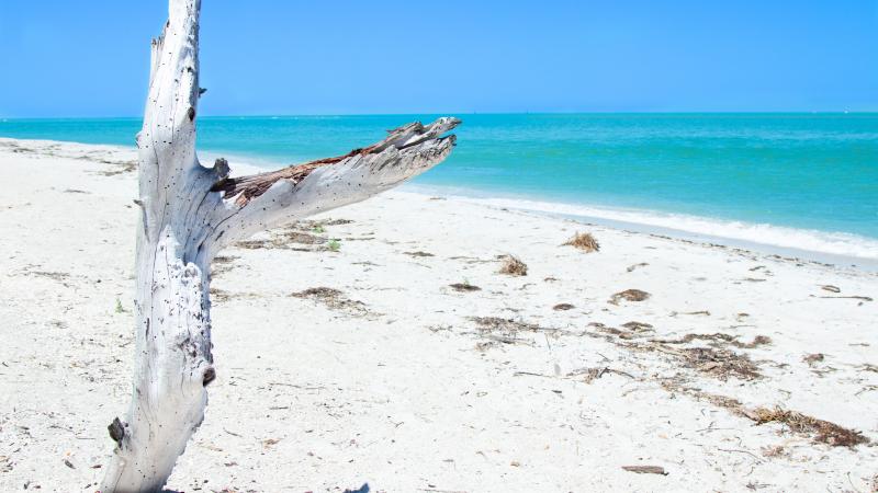 Beach at Cayo Costa