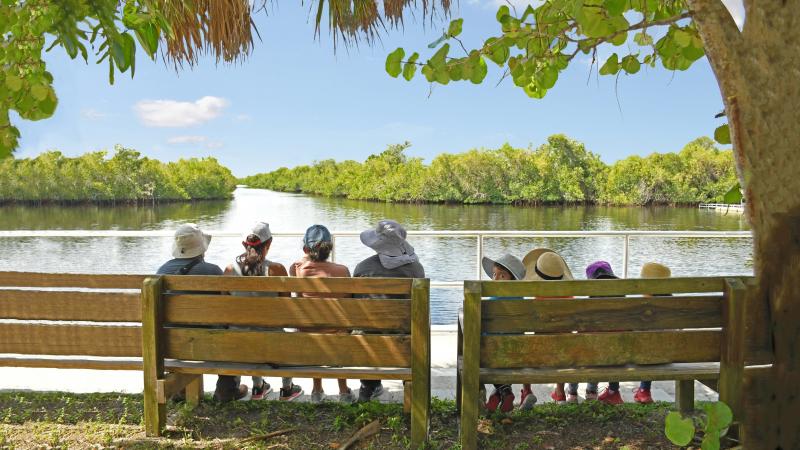 family sitting on benches by river water and mangroves