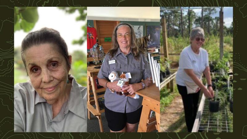 Diana Gregory, Sue Hamburger and Sue Munson