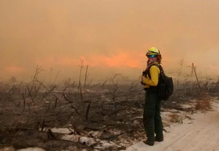 A lady with fire gear on stands infront of land that has just been burned. 