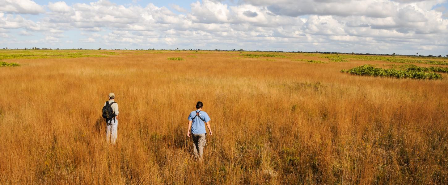 Hikers exploring a vast prairie.