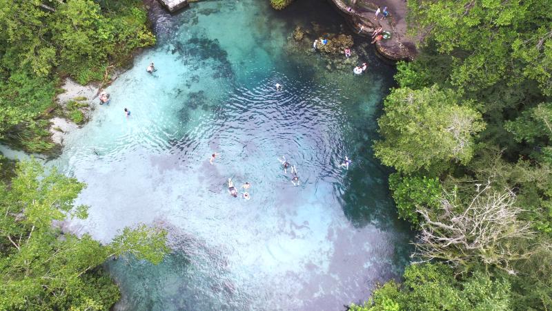 Ichetucknee Springs State Park