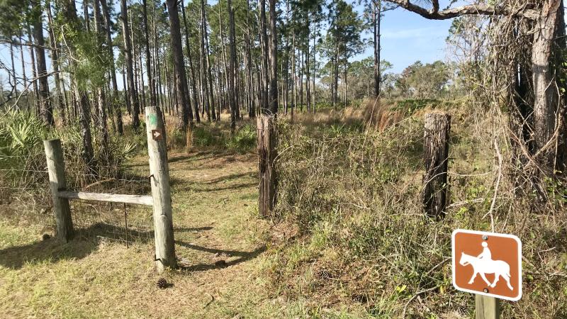 Equestrian Trail head at Rock Springs Run