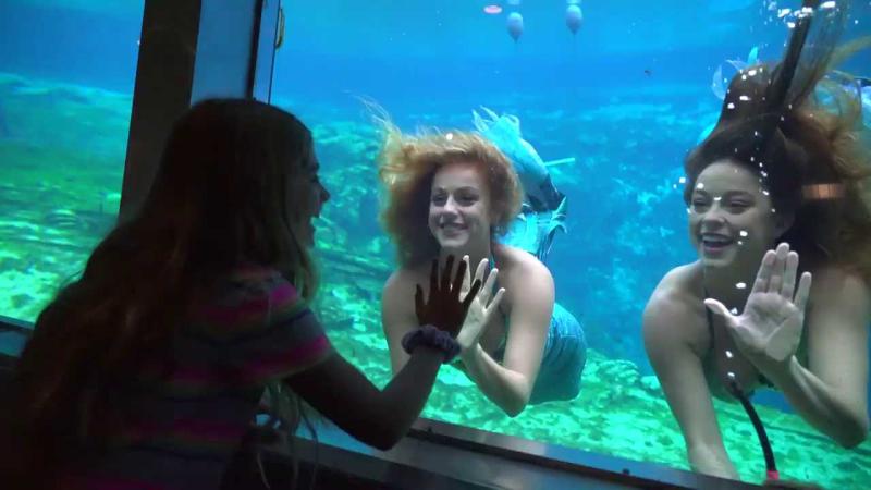 Two mermaids swim while a woman watches from inside the theater.