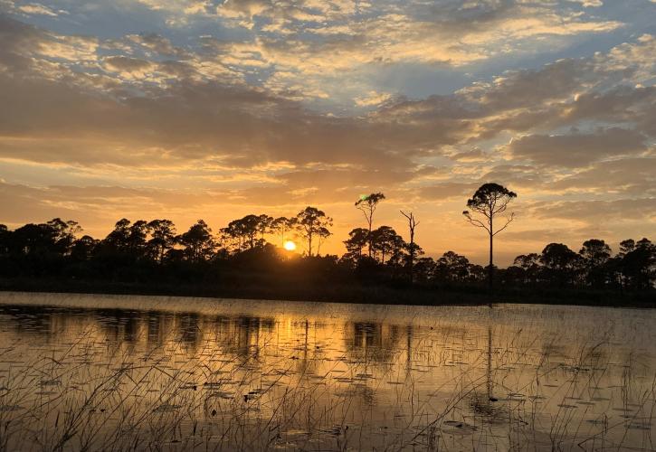 Colorful sunset over a freshwater marsh