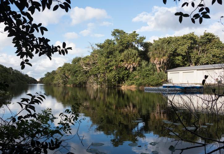 Long Lake at Hugh Taylor Birch State Park