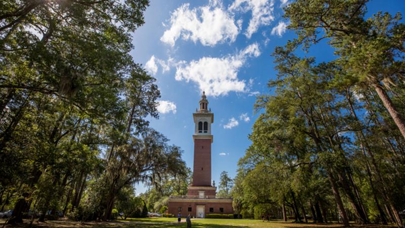 a brick tower stands amongst pine trees under a blue sky